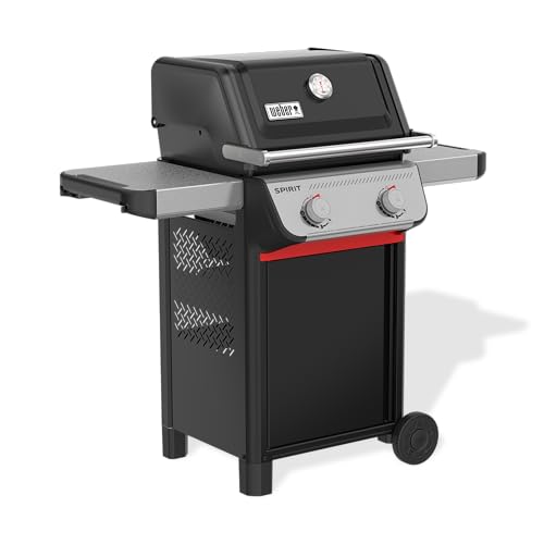 Weber SPIRIT 2-Burner Grill E-210 Liquid Propane Black