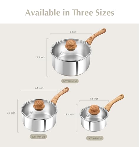 KOCH SYSTEME CS Stainless Steel Saucepan, 1 Quart Stainless Steel Pot with 5-Layer Stainless Base, Sauce Pan with Lid & Stay-Cool Handle, Small Pot 1 Quart, Induction Compatible