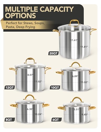 MICHELANGELO Stainless Steel Pots - Large Soup Pot with Lid, 10 Quart Stock Pot with Lid, Cooking Pots Induction Compatible, Oven & Dishwasher Safe
