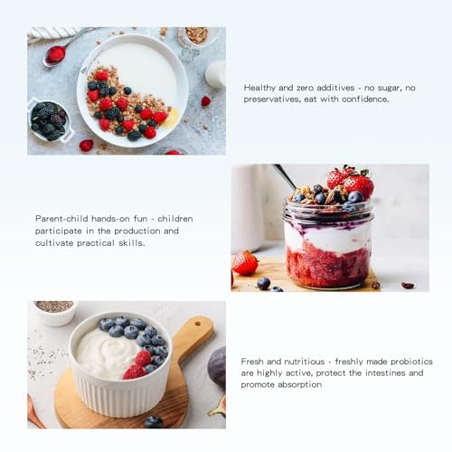 DiDimo Yogurt Maker, 1.37 QT Automatic Greek Yogurt Machine with Constant Temperature Control, Yogurt Maker Machine for Probiotic, Curd, Small Stainless Steel Container for Home Kitchen
