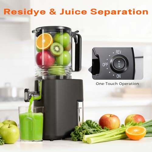 Cold Press Juicer with 5.5" Wide Feed Chute, Slow Masticating Juicer Machine for Whole Fruits & Vegetables, High Juice Yield, Gray