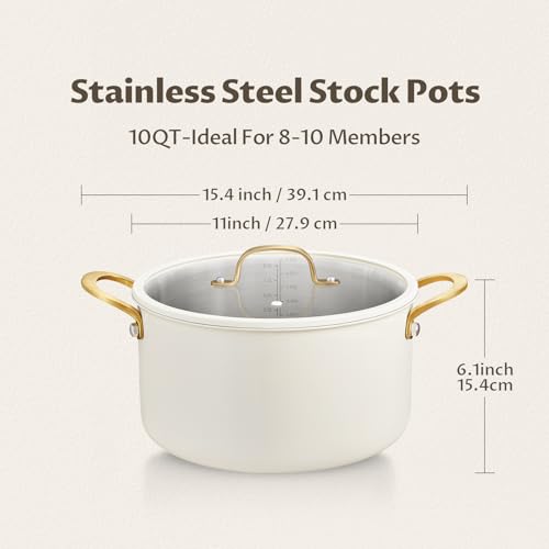 BEZIA 10 Quart Stainless Steel Stock Pot with Lid, Large Soup Pot for Batch Cooking & Entertaining, Induction Ready with See-Through Lid, Dishwasher Safe