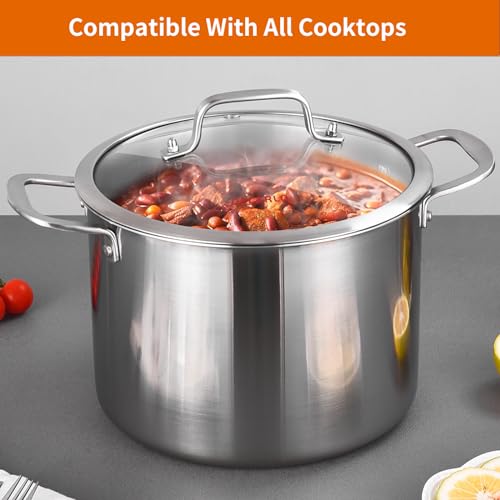 DELARLO Tri-Ply Stainless Steel 8 Quart Stock Pot, Heavy-Duty, All Stove Compatible, Up to 600℉ Soup Pot with Lid, 18/10 Induction Big Stockpot with Lids, Large Stainless Steel Induction for Cooking