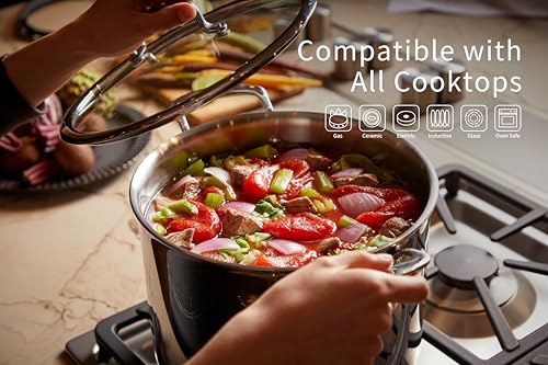 SANFELA 8 Quart Stainless Steel Stock Pot With Glass Lid, 5 Ply Stainless Clad, Induction Compatible, PTFE, PFAS and PFOA Free