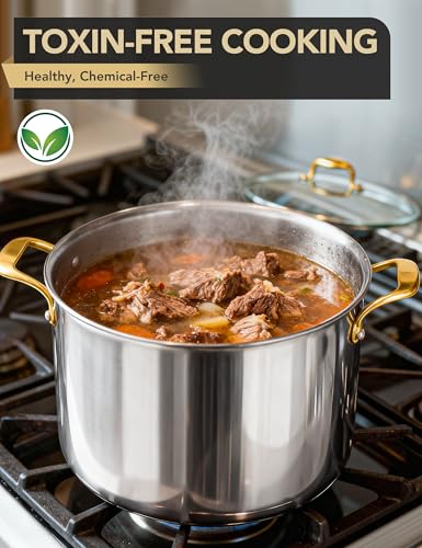 MICHELANGELO Stainless Steel Stock Pot with Lid - 12 Quart Soup Pot with Ergonomic Handle, Large Cooking Pots for StewSoup, Suitable for All Stoves