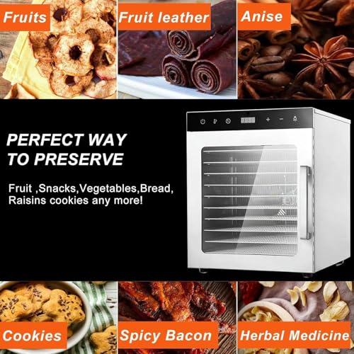10 Trays Silent Food Dryer, 800W Freeze-Dried Candy Machine, Temperature Adjustable Of 30-90 ° C, Timer From 0-24 Hours, Large Capacity Food Processor For Vegetables/