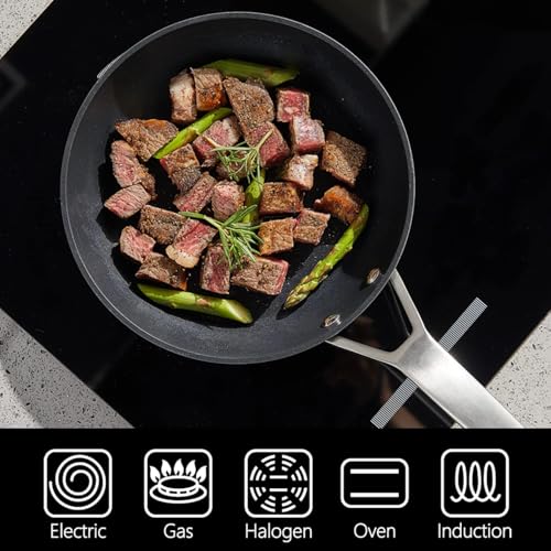 MsMk 9 1/2 Inch Small Egg Pan with Lid, Titanium and Ceramic Nonstick Omelette Pan,Scratch-resistant, Induction Egg Skillet, Oven Safe to 700°F Pan for Cooking, Dishwasher Safe