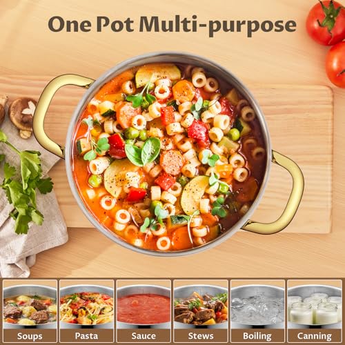 BEZIA 12 Quart Stainless Steel Stock Pot with Lid, 0-Coating Large Soup Pot for Family Gatherings, Tri-ply Even Heat for Holiday Feasts, Batch Cooking & Canning