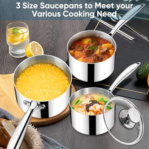 Homikit 1 Quart Saucepan, Tri-Ply Stainless Steel Sauce Pan with Lid, 1QT Small Induction Cooking Pot with Ergonomic Handle, Small Pan for Making Sauce, Warming Milk, Boiling Eggs, Dishwasher Safe