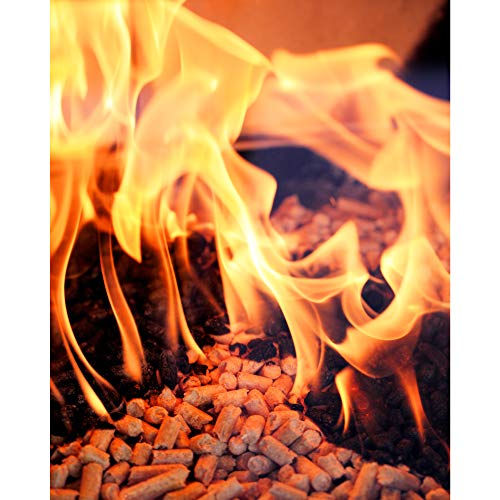 Green Mountain Grills Premium Fruitwood Pure Hardwood Grilling Cooking Pellets with Chery, Beech, and Pecan for Sweet Flavor Meat Grilling