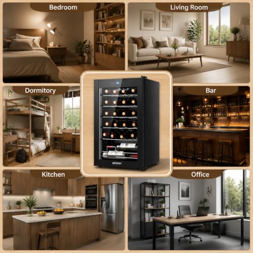BODEGA COOLER 24 Bottle Wine Cooler, Wine Fridge for Office, Kitchen & Bar
