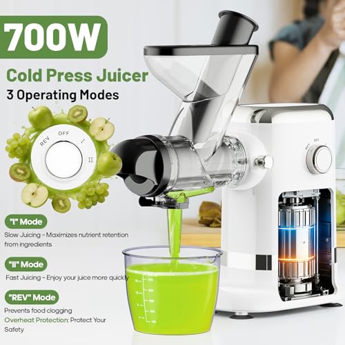 GVODE Cold Press Juicer, Powerful Masticating Juicer with Dual Feed Chute, Electric Juicer with Pulp Separation, Countertop Juicer Machines, 75dB, 3 Mode Operations, Overheat Protection