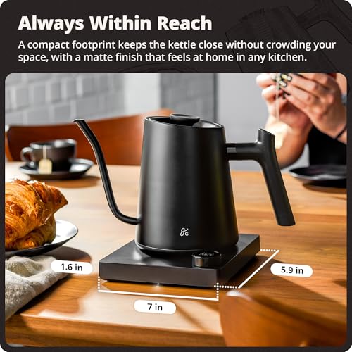 Greater Goods Electric Gooseneck Kettle, 1200W Stainless Steel with Precision Temperature Control, Fast Boil, BPA-Free, Ideal for Pour Over Coffee and Tea, 0.8L (Onyx Black)