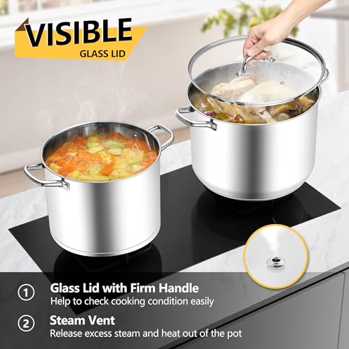Homikit 20 Quart Soup Pot with Lid, Large Stainless Steel Stock Pot with Double Handles, Heavy Duty Cookware Induction Stockpot for Canning Steaming Simmering, Compatible All Cooktops, Dishwasher Safe