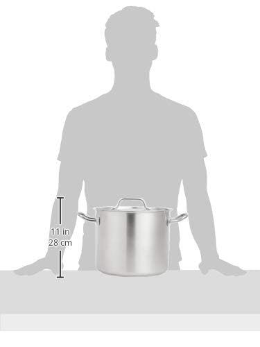 Amazon Basics 12 Quarts Stainless Steel Aluminum-Clad Stock Pot with Cover, Induction Compatible, Dishwasher Safe, Oven Safe, Even Heating, Soup and Pasta Pot