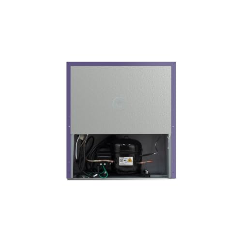 Frigidaire EFR115-PURPLE 1.6 Cu Ft Compact Fridge for Office, Dorm Room, Mancave or RV, Purple