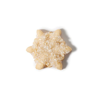OXO Good Grips Cookie Press Holiday Disk Set, Metallic