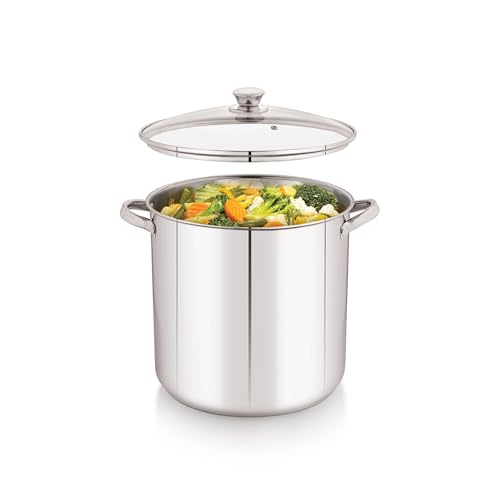 16-Quart Stainless Steel Stock Pot, Glass Lid & Induction Compatible, Durable Kitchen Essential