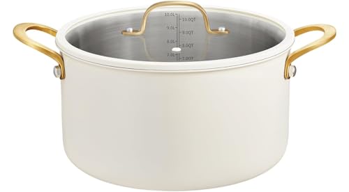 BEZIA 12 Quart Stainless Steel Stock Pot with Lid, Soup Pot for Large Gatherings & Holiday Feasts, Induction Compatible with Silicone-Rimmed Lid, Easy Cleanup
