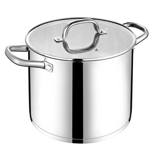 LIANYU 12 QT Stock Pot with Lid, 12 Quart Stainless Steel Large Tall Soup Pot for Cooking, Big Deep Stockpot with Visible Lid, Tri-ply Heavy Duty Stockpot for Induction, Stoves, Gas