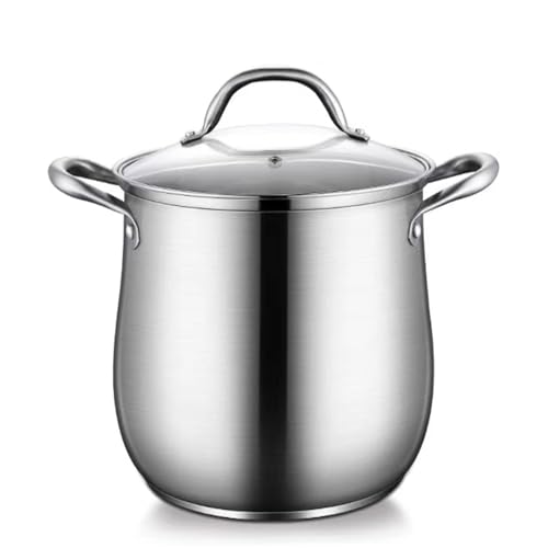Stainless Steel Stock Pot, 8 Quart Heavy Duty Induction-Compatible with Visible Lid for Soups, Pasta, Stews, Canning, Boiling