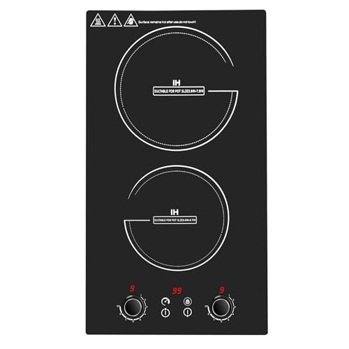 Wesonorous Double Induction Cooktop,110V 2600W 2 burner induction cooktop with hot plat with LED Touch Screen 10 Levels,Child Safety Lock & Timer 110V countertop burners