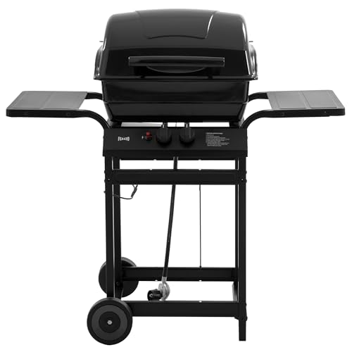 Feasto 2 Burner Propane Gas Grill with 26,500 BTUs Output, Porcelain-Enamel Main Body and Lid, Propane BBQ Grill with Warming Rack & Side Tables for Patio, Backyard, Poolside Gatherings