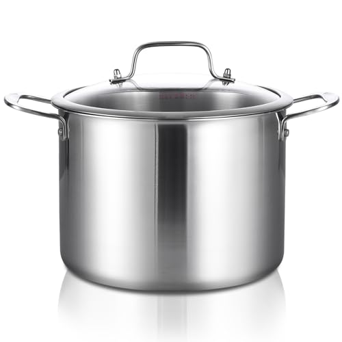 DELARLO Tri-Ply Stainless Steel Soup Pot 12QT, Tri-ply Big Pots for Cooking, 18/10 whole clad Stainless Steel Pot, Fast Even Heat, 12 QT Stock cookware with Lid, Pasta Pot, Induction Ready Up to 600℉