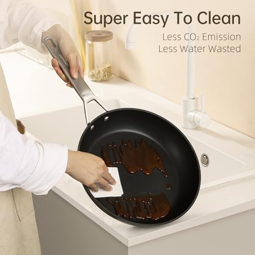 MsMk 8 inch Small Frying Pan with Lid, Burnt also Non stick Omelette pan, PFOA Free Non-Toxic, Scratch-resistant, for gas, electric and induction