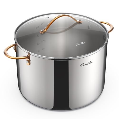 Ciwete 12 Quart Stock Pot with Lid, Upgraded Tri-Ply Stainless Steel Pot, Seamless Large Cooking Pot with Stay-Cool Brass Handle, Healthy Polished Stockpots, Induction Cookware, Oven & Dishwasher Safe