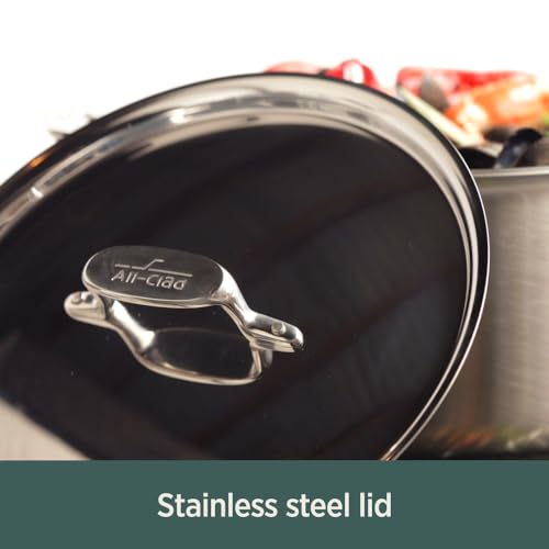 All-Clad D5® Stainless Steel Core 4 Quart Soup Pot With Lid - Made in the USA - The Upgrade for Supremely Even Heat- Oven Safe & Induction Compatible Cookware