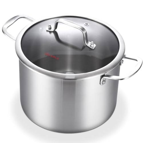 DELARLO Tri-Ply Stainless Steel 8 Quart Stock Pot, Heavy-Duty, All Stove Compatible, Up to 600℉ Soup Pot with Lid, 18/10 Induction Big Stockpot with Lids, Large Stainless Steel Induction for Cooking