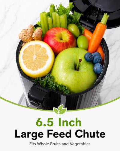 AMZCHEF Cold Press Juicer, 6.0" Whole Fruit Self-Feeding Slow Juicer