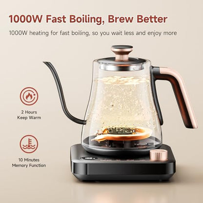 OLEGA Gooseneck Electric Kettle: 1000W Electric Kettles with Temperature Control 0.8L Stainless Steel Electric Tea Kettle Gooseneck Kettle for Coffee Tea Keep Warm (Black)