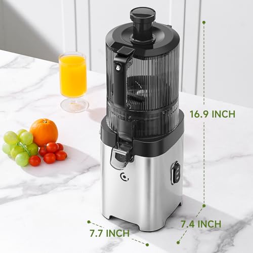Cold Press Juicer, 6.5" Wide Feed Chute Slow Masticating Juicer Extractor for Whole Fruits & Vegetables, High Juice Yield, Quiet Motor, Easy Clean for Plant-Based Diet