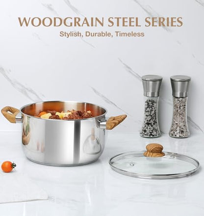 KOCH SYSTEME CS Stainless Steel Pot - 6 Quart Induction Stainless Steel Stock Pot with Lid for Pasta, Soup, Spaghetti, Steel Soup pots with Heat-Resistant Bakelite Double Handle, Dishwasher Safe