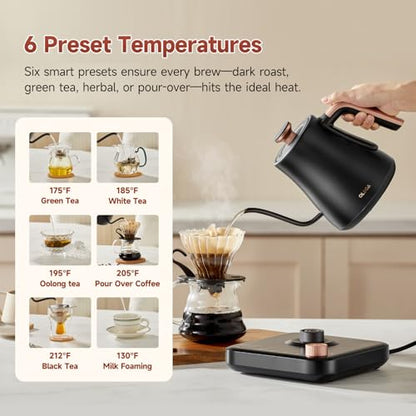 OLEGA Gooseneck Electric Kettle: 1000W Electric Kettles with Temperature Control 0.8L Stainless Steel Electric Tea Kettle Gooseneck Kettle for Coffee Tea Keep Warm (Black)