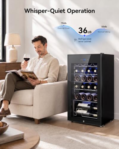 Feelfunn 25 bottle Wine Cooler Refrigerator,Freestanding Wine Fridge,Black