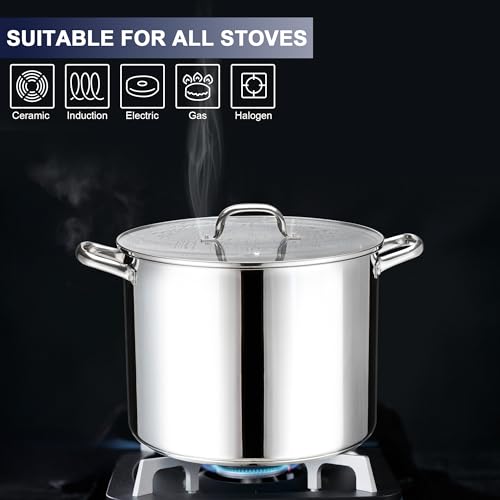 Stainless Steel Large Stock Pot, LIANYU 16 QT Heavy Duty Stockpot with Glass Lid, Deep Classic Soup Pot for Cooking Stewing Simmering, Thick Tri-ply Base & Stay-Cool Handle, Dishwasher Safe Cookware
