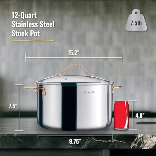 Ciwete Stock Pot 12 Quart, 18/10 Tri-Ply Stainless Steel Whole Clad Stock Pot with Lid, Seamless 12 QT Cooking Pot with Copper Handle, Healthy Stockpots, Induction, Gas, Oven and Dishwasher Safe