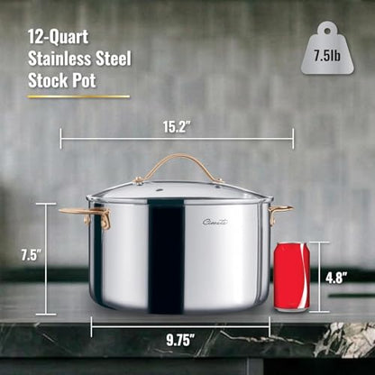 Ciwete Stock Pot 12 Quart, 18/10 Tri-Ply Stainless Steel Whole Clad Stock Pot with Lid, Seamless 12 QT Cooking Pot with Copper Handle, Healthy Stockpots, Induction, Gas, Oven and Dishwasher Safe