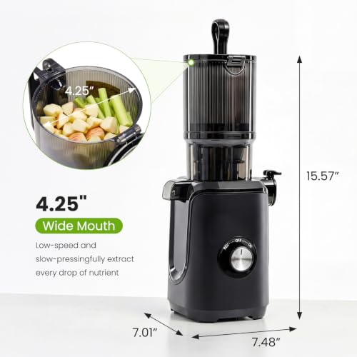 KMFurnila Juicer Machines, Electric Slow Masticating Cold Press Juicer