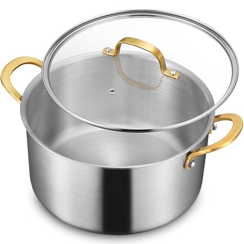 BEZIA 6 Quart 3-Ply Stainless Steel Stockpot, Soup Pot with Lid in Fully Clad Tri-Ply Stainless Steel, Even Heat Distribution, Cooking Pot with Handles, All Cooktops Compatible, Perfect for Stew