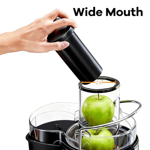 OLIXIS Centrifugal Juicer Machines, 480W Juice Extractor with 2.6" Feed Chute for Vegetable and Fruit, Electric Juicer with Dual-Speed Quick Juicing, Easy to Clean, BPA-Free, Black