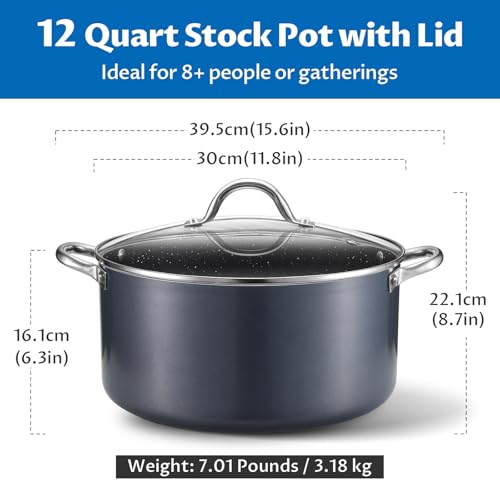 BEZIA 12 Quart Cooking Pot, Large Non Stick Induction Stock Pots with Lid, All Stove Compatible, 12 QT Aluminum Soup/Stew Pot For Big Gatherings, Grey
