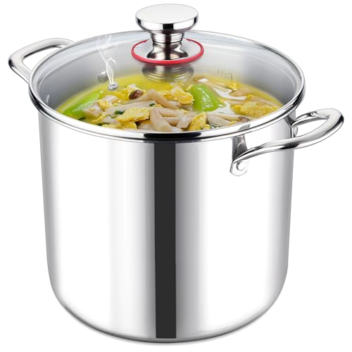 LIANYU 10 Quart Pot with Lid, 10QT Tri-Ply Heavy Duty Stock Pot, 18/10 Stainless Steel Stockpot, Canning Pasta Cooking Stockpot for Induction, Gas&Electric Cooktops, Visible Lid