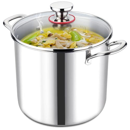 LIANYU 10 Quart Pot with Lid, 10QT Tri-Ply Heavy Duty Stock Pot, 18/10 Stainless Steel Stockpot, Canning Pasta Cooking Stockpot for Induction, Gas&Electric Cooktops, Visible Lid