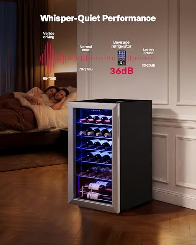 Icyglee 25 Bottle Compressor Wine Cooler Refrigerator, Freestanding Wine Cellar, 41-64°F Adjustable Temperature, Double-layer Glass Door, for Home Bar, Red and White Wine, Silver