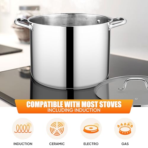 E-far 16 Quart Stainless Steel Stock Pot, Large Heavy Duty Induction Stockpot with Glass Lid for Cooking Soup Canning, Thick Tri-Ply Bottom & Riveted Handle, Compatible with All Stove, Dishwasher Safe
