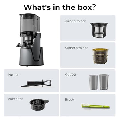EanOruus Juicer Machines, 3-in-1 Cold Press Juicer with 6.5" Extra Large Chute, 100oz Large Capacity, AC Motor, Makes Juice, Nut Milk & Sorbet, Premium Gray
